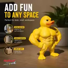 Estátua de Pato Muscular - Dec - Home Gym Designs avaliação e preço